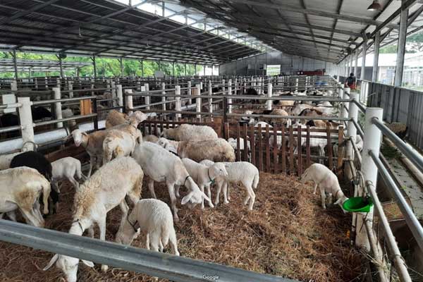 Ndayu Park Sragen 4 fasilitas ndayu park