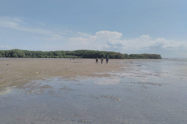 fasilitas pantai surodadi demak