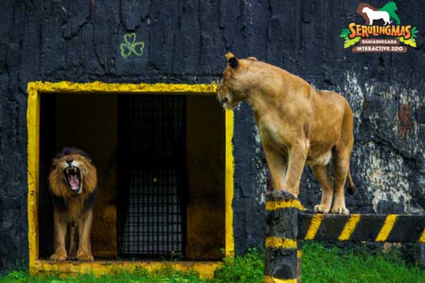 fasilitas serulingmas banjarnegara