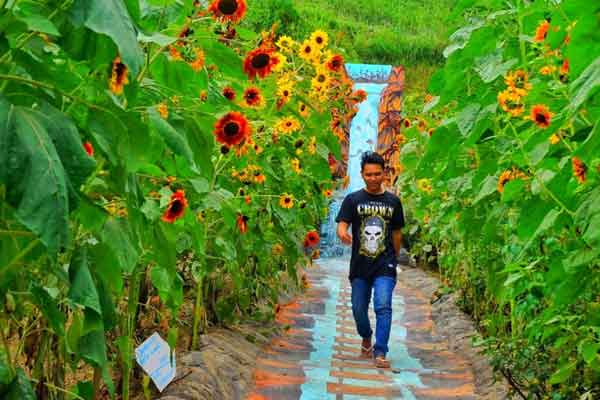 Tikungan Cinta Boyolali 4 fasilitas tikungan cinta