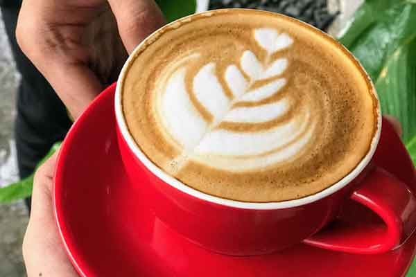 harga menu box koffies