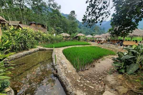 Leuwi Pangaduan Bogor 2 harga tiket masuk Leuwi Pangaduan