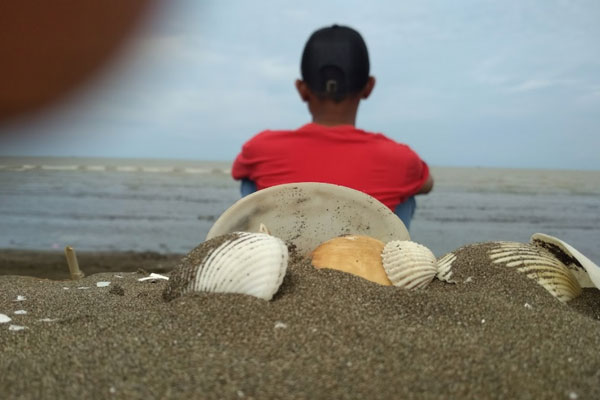 harga tiket masuk Pantai Losari Brebes