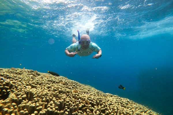 harga tiket masuk Pulau Menjangan Kecil