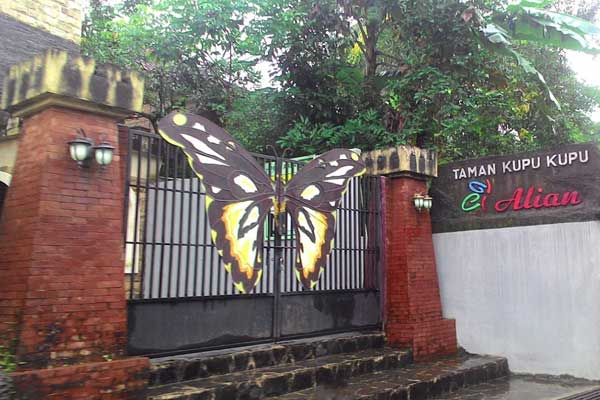 Alian Butterfly Park Kebumen 2 harga tiket masuk alian butterfly park