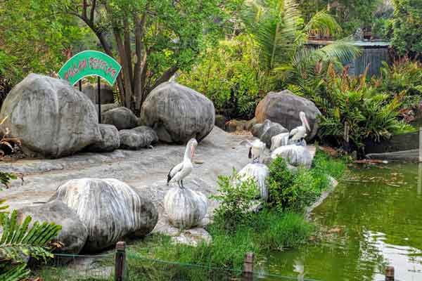 Ecopark Ancol Jakarta 2 harga tiket masuk ecopark ancol