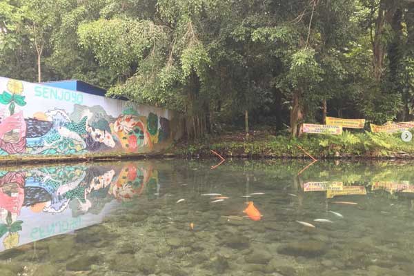 harga tiket masuk mata air senjoyo