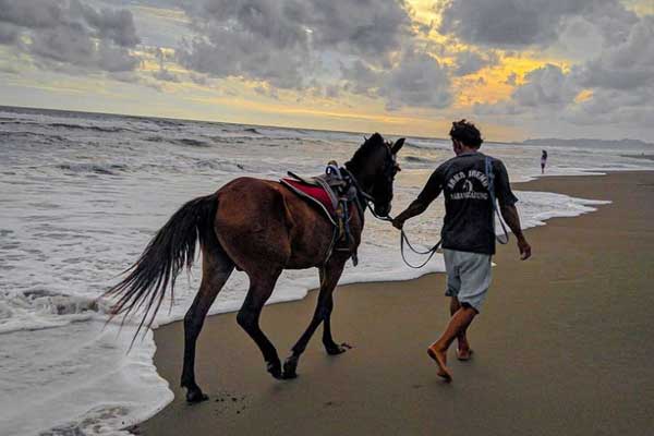 Pantai Petanahan Kebumen 2 harga tiket masuk pantai petanahan
