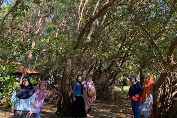 harga tiket masuk pulau seprapat