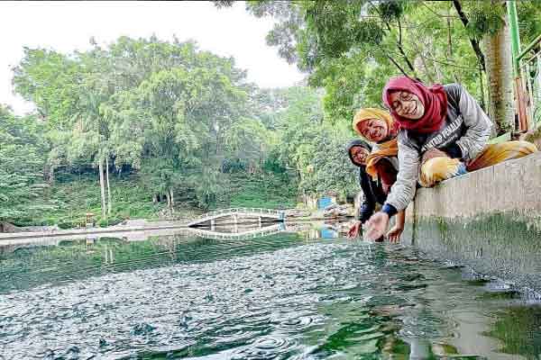 harga tiket masuk telaga silanting