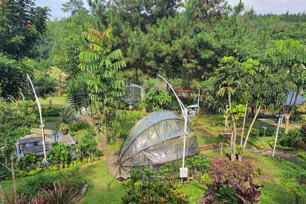 jam buka de kleine batu