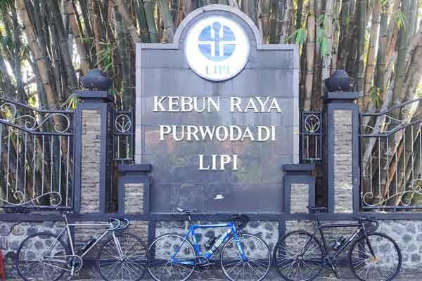 jam buka kebun raya purwodadi