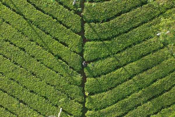 Tempat Wisata di Wonosobo 19 obyek wisata tambi wonosobo