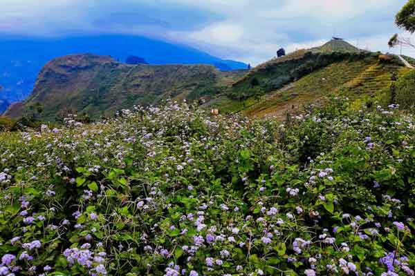 Panyaweuyan Majalengka 5 jam buka panyaweuyan majalengka