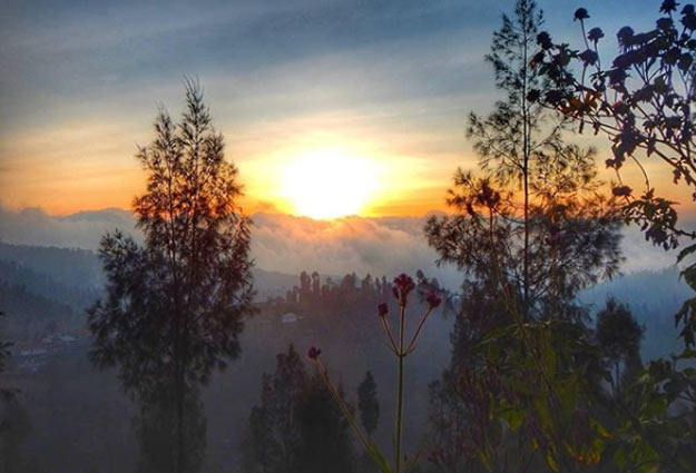 81 Tempat Wisata Seru Di Malang Terbaru 2 Tempat wisata di Malang