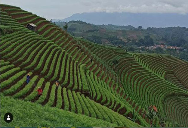 20 Tempat Wisata di Majalengka Terbaru 15 Tempat menarik di Majalengka