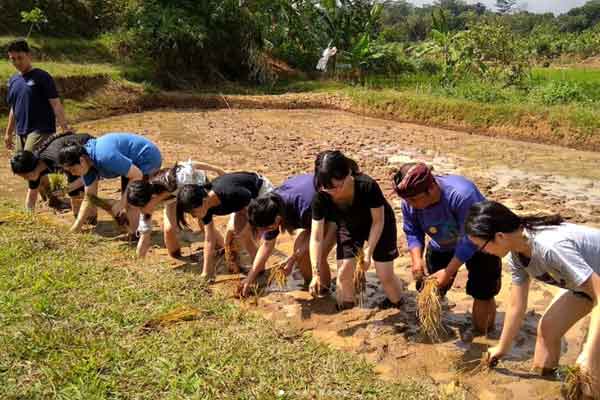 rute lokasi dan alamat Desa Wisata Kandri