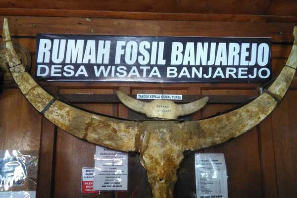 rute lokasi dan alamat desa wisata banjarejo
