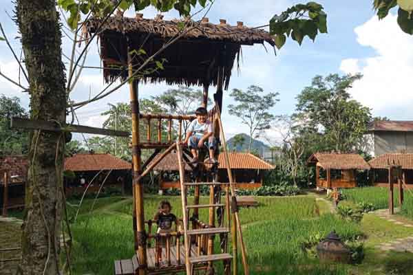Tempat Wisata di Hambalang 4 sawah segar sentul city