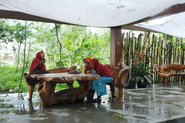 spot foto kebun bibit kediri`