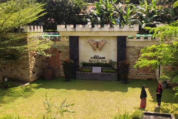 Alian Butterfly Park Kebumen 5 spot wisata alian butterfly park