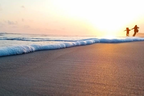 spot wisata cemara sewu cilacap