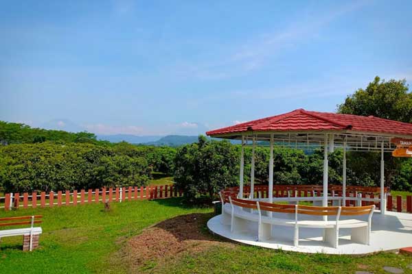 spot wisata plantera ngebruk