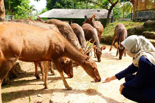 spot wisata serulingmas