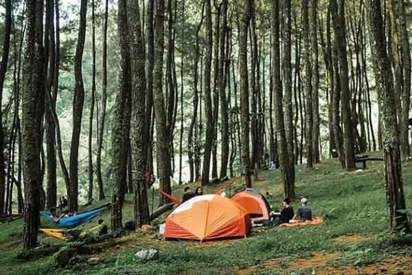 Tempat Wisata di Hambalang 5 taman wisata alam gunung pancar