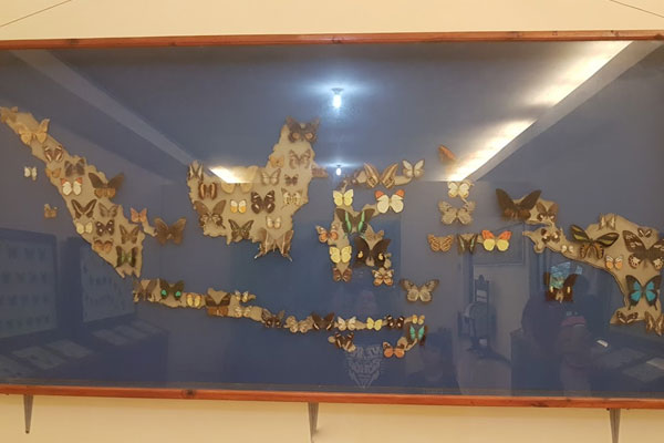 Alian Butterfly Park Kebumen 6 tips berkunjung alian butterfly park