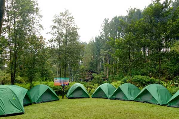 tips berkunjung baturraden adventure forest