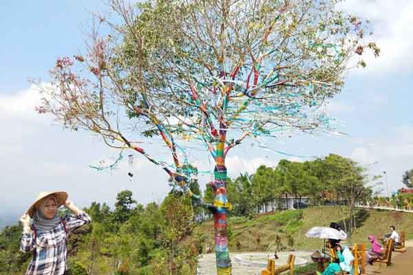 tips berkunjung caping park