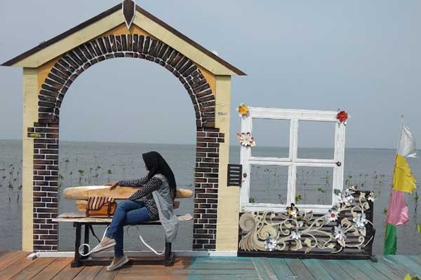 Hutan Mangrove Brebes 6 tips berkunjung hutan mangrove brebes