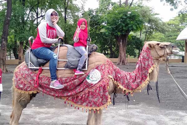 tips berkunjung jurug zoo solo