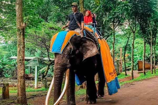 tips berkunjung linggo asri