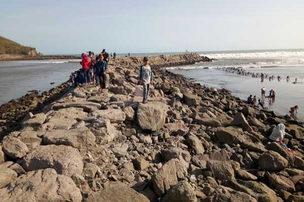 Pantai Congot Cilacap 6 tips berkunjung pantai congot
