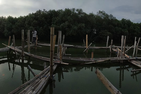 tips berkunjung pantai surodadi demak