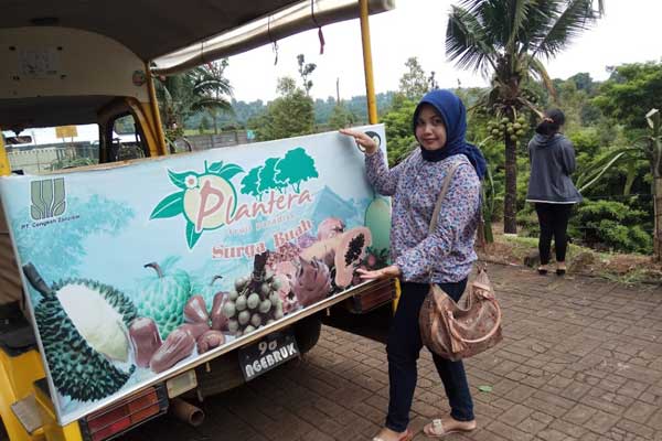 tips berkunjung plnatera ngebruk