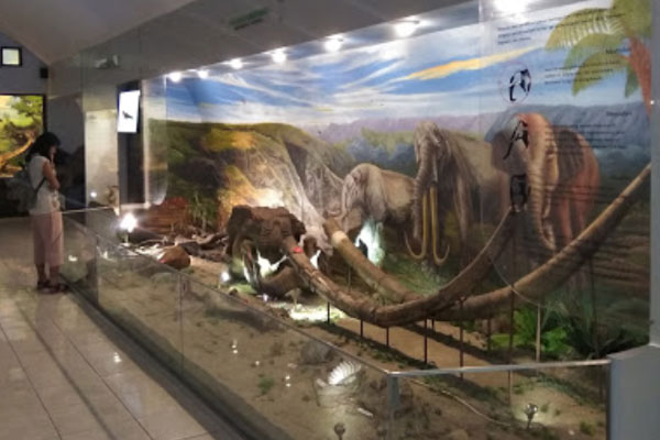 tips berkunjung sangiran