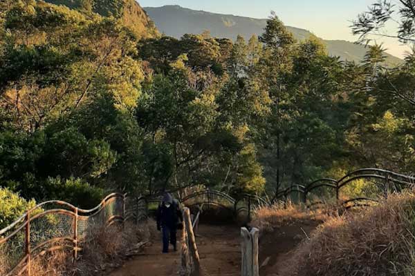 tips berkunjung sikunir