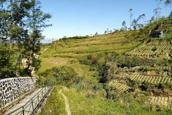 tips berkunjung sumur jalatunda